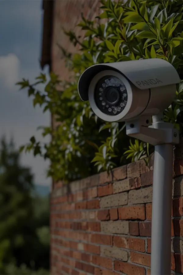 Affordable PANDA Blue Series – Home Security Cameras, Hard PVC Materials, and CAT 6 Cables.